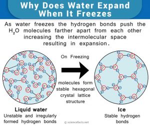 water expand when freezes does why ice freeze volume than freezing liquids frozen structure sciencefacts its they expansion expands liquid