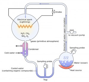 Miller-Urey Experiment