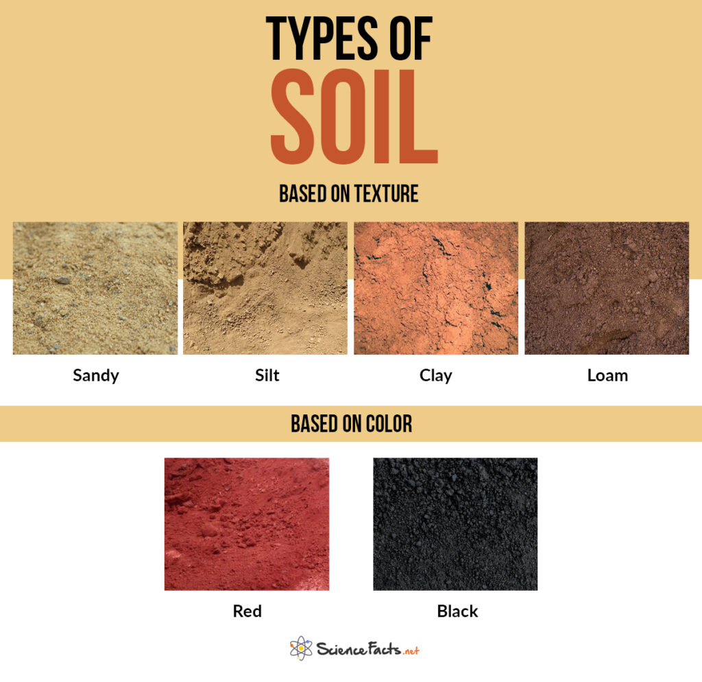 Types of Soil - Science Facts