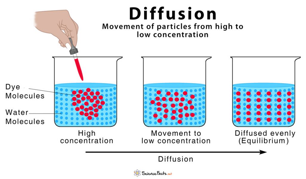 Diffusion Definition And How Does It Occur with Diagram 