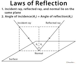 Reflection: Definition, Types, Laws, and Ray Diagrams