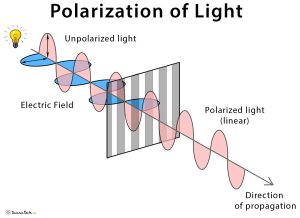 Polarization Of Light: Definition, Diagram, And Applications