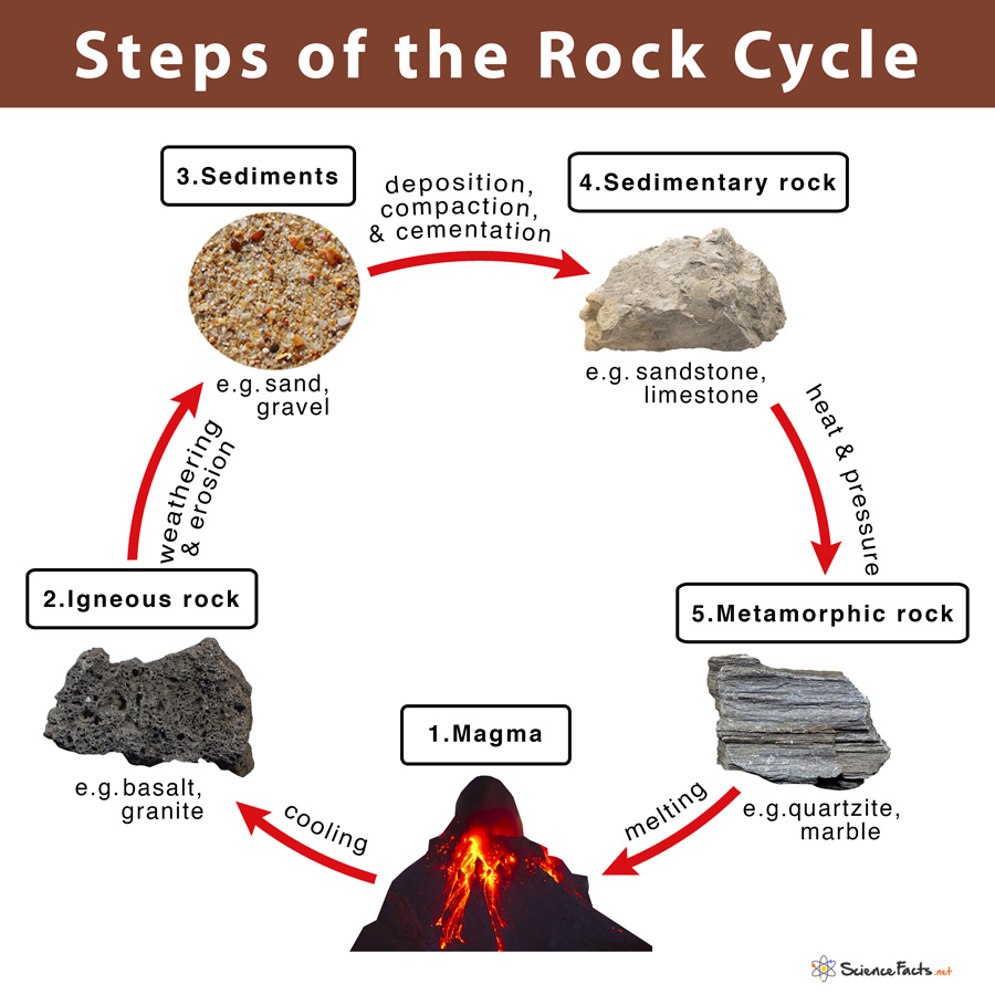 Rock Cycle Definition, Steps, Importance, Diagram