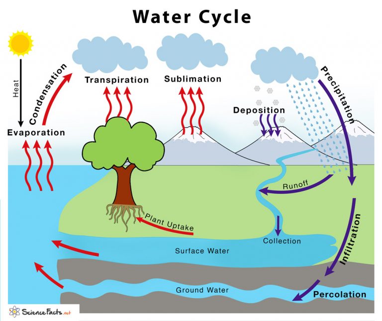 Water Cycle Diagram Labeled