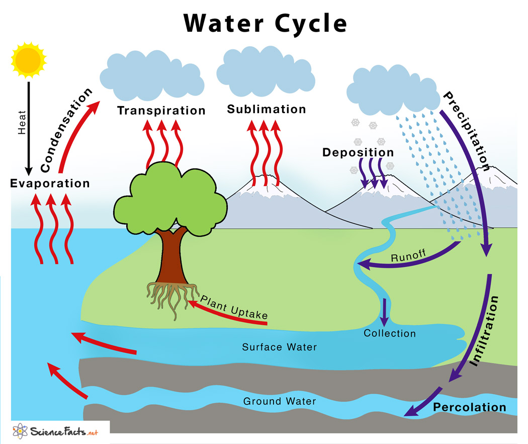 simple water cycle with runoff