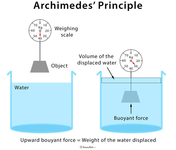 Is it true that Archimedes formulated his famous principle based