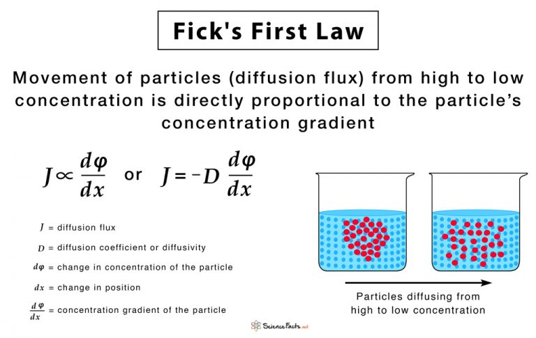 Ficks Laws Of Diffusion Formulas Equations And Examples