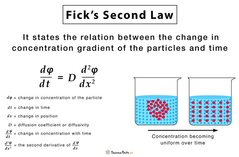 Ficks Laws Of Diffusion Formulas Equations And Examples