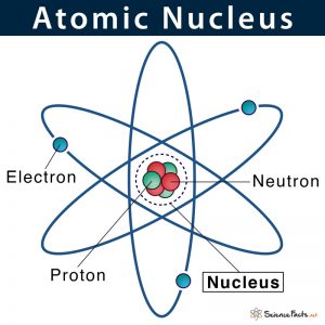 Atomic Nucleus: Definition, Structure & Parts with Diagram