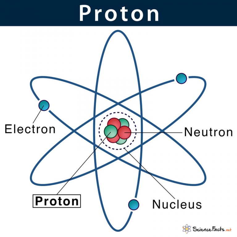 Atomic Nucleus Definition, Structure & Parts with Diagram