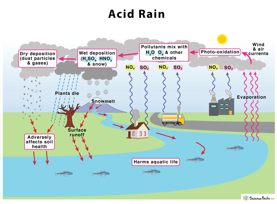 acid rain before and after