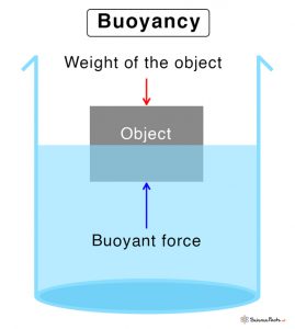 Buoyancy and Buoyant Force: Definition, Examples, and Formula