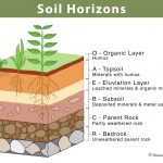 Layers of the Sun: Structure & Composition with Diagram