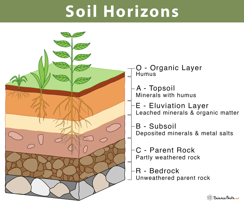 The diagram below shows a soil profile. Use it to answer question (i) and  (ii). - ATIKA SCHOOL