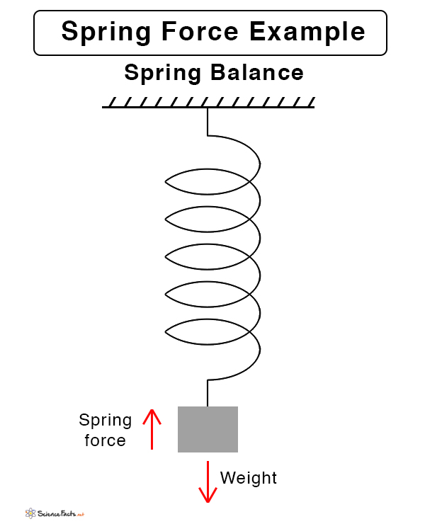 Spring Force Definition Formula And Examples