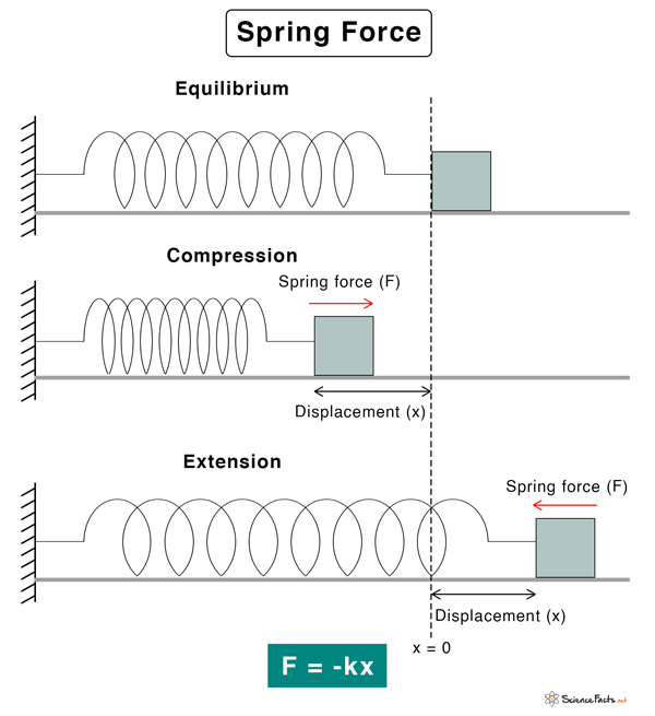 Spring Force Definition, Formula, and Examples