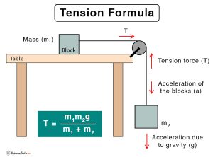 calculation of g force formula