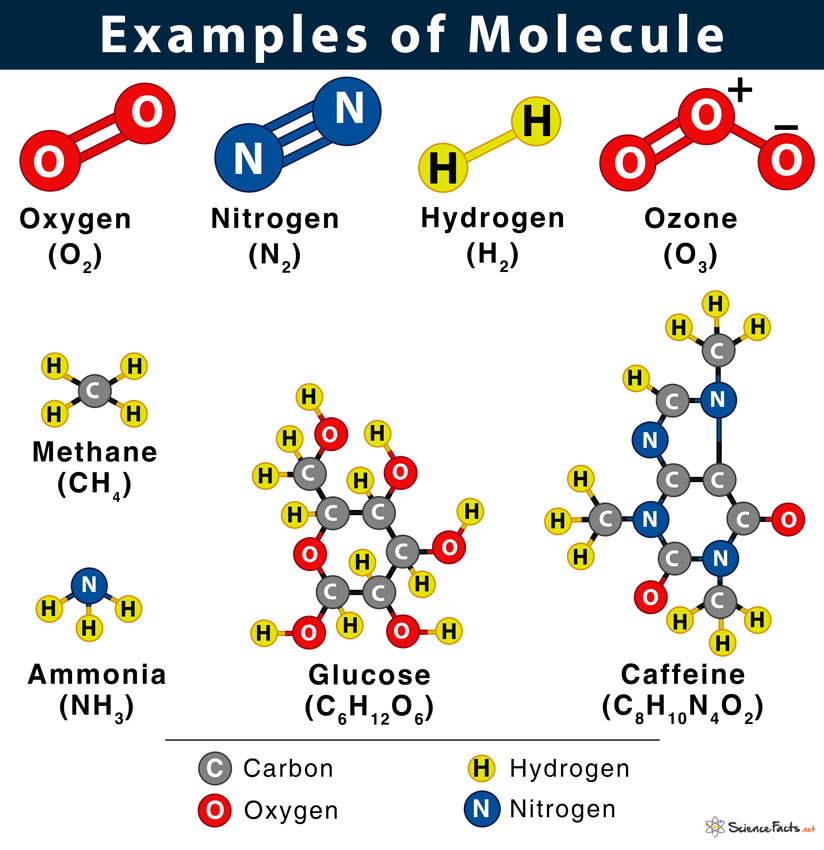 Molecule Definition Examples Facts Diagram