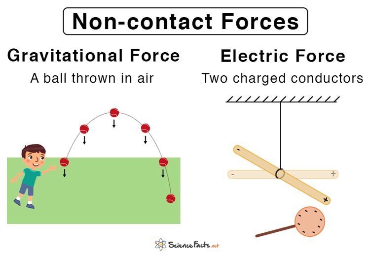 net force in science