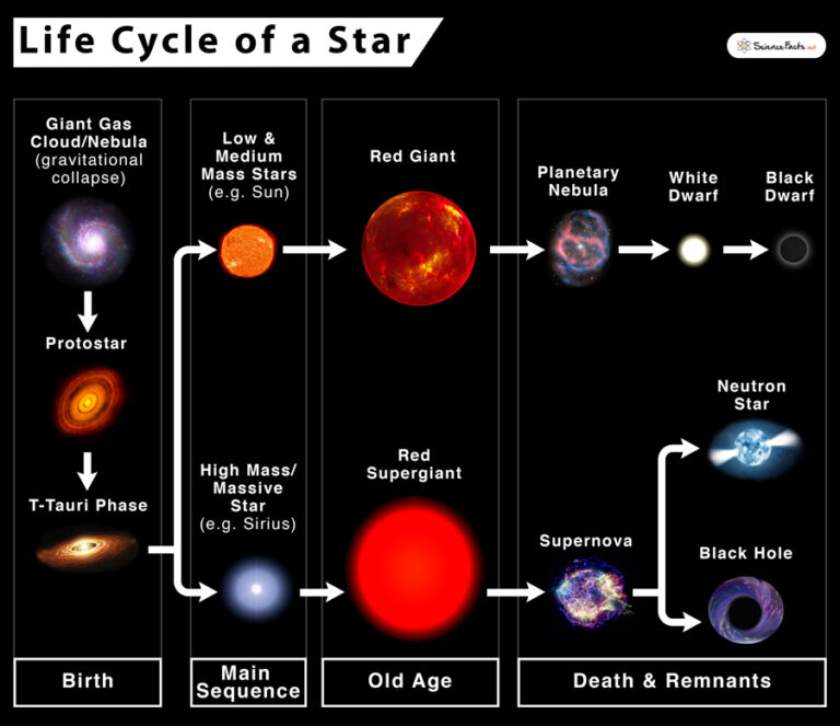 Life Cycle of a Star Stages, Facts, and Diagrams
