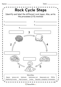 Rock Cycle Worksheets