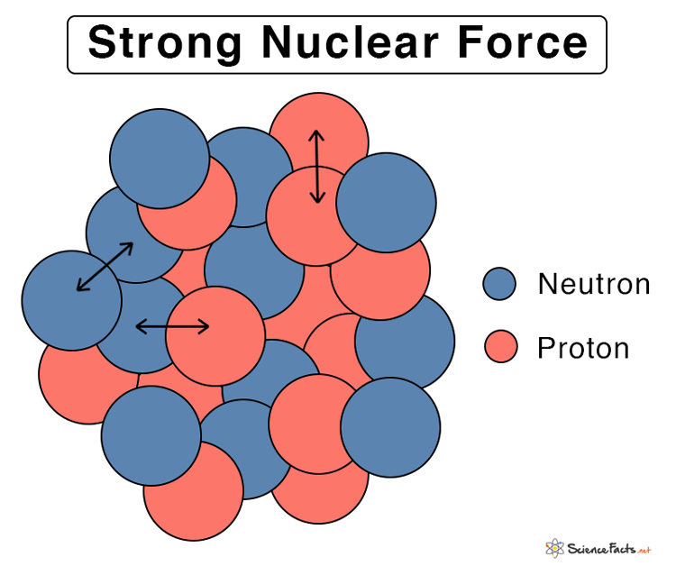 Strong Nuclear Force Definition Properties And Examples