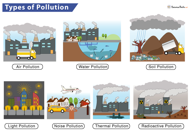 essay of type of pollution