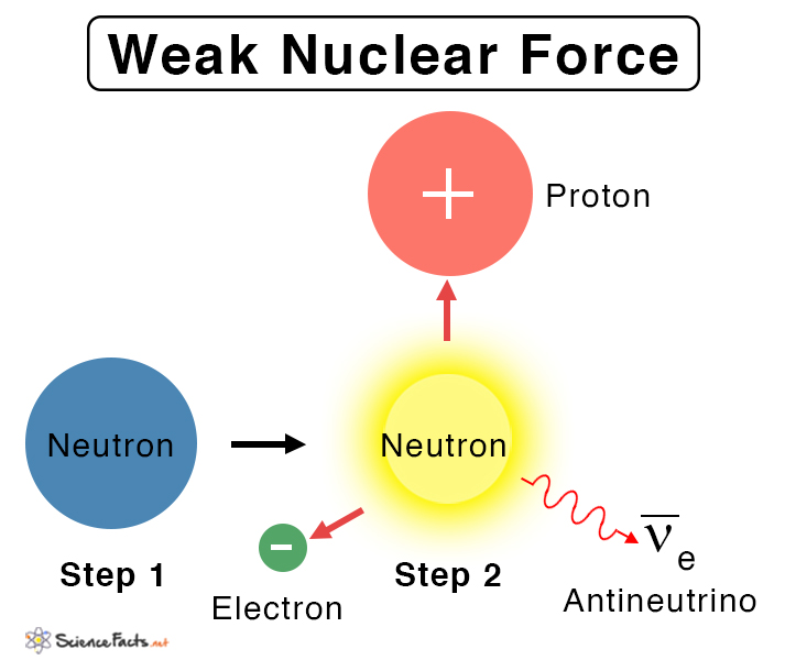 Weak Nuclear Force Definition Properties And Examples