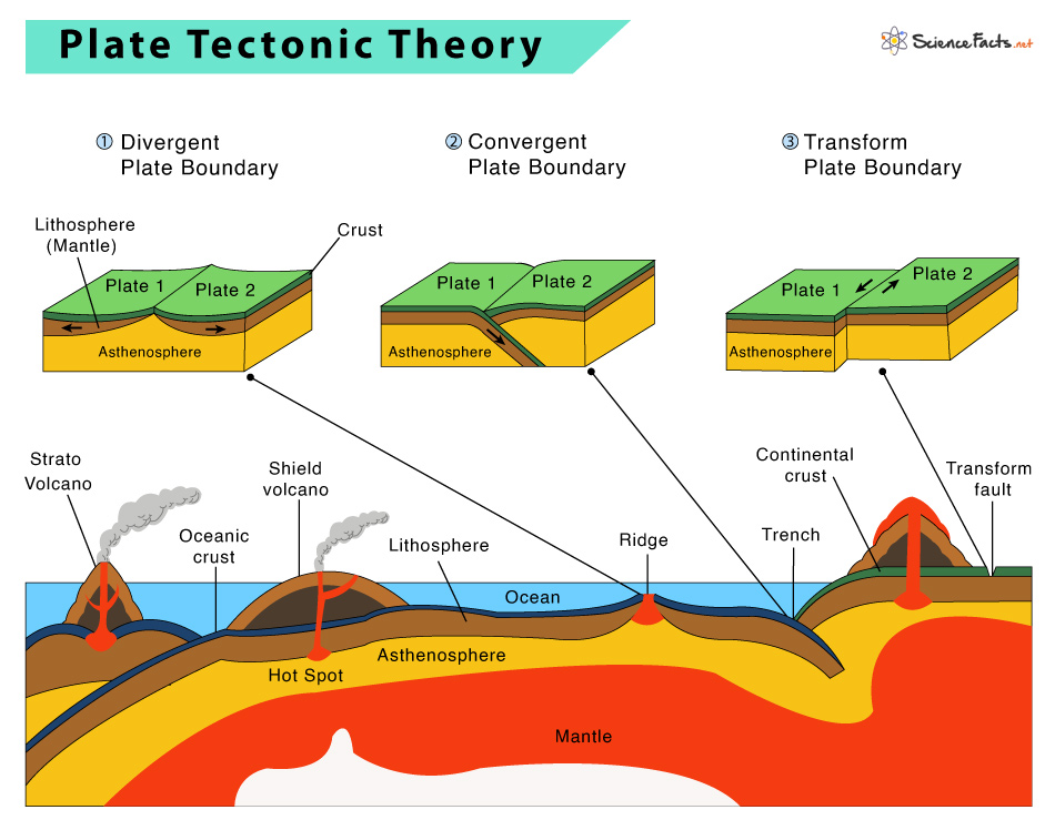 What Is The Theory Of Plate Tectonics Worksheet