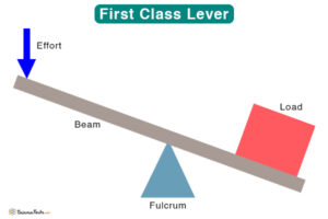 Lever: Definition, Parts, Types, and Examples