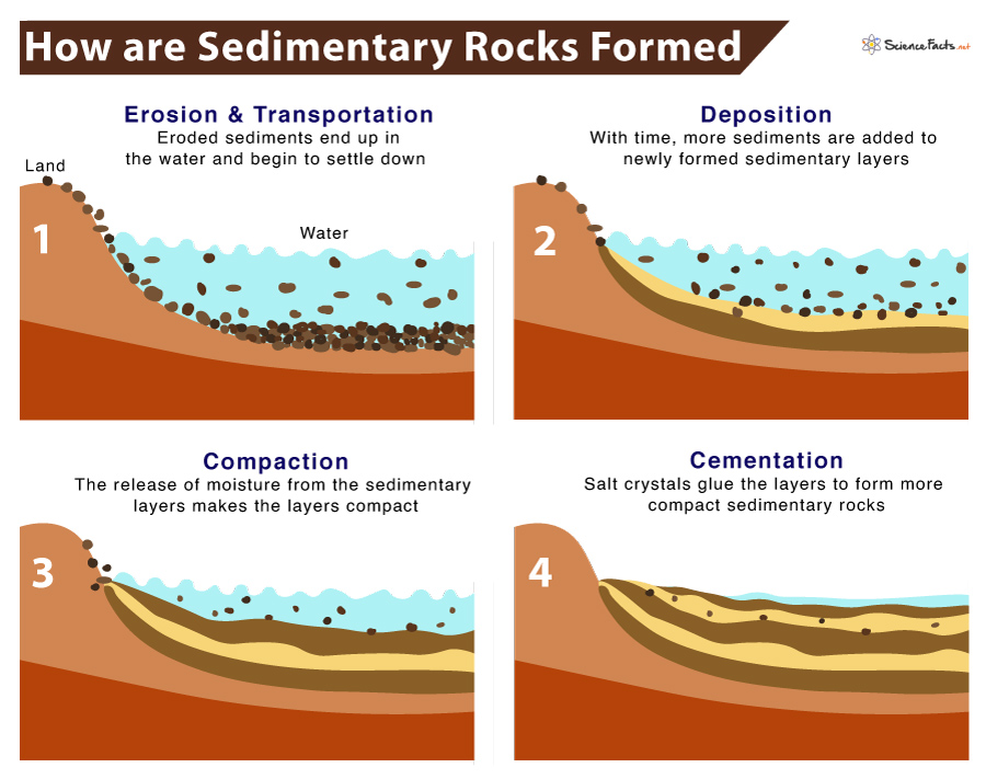 Sedimentary Rocks Definition, Formation, Types, & Examples
