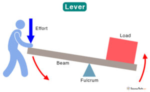 Lever: Definition, Parts, Types, and Examples