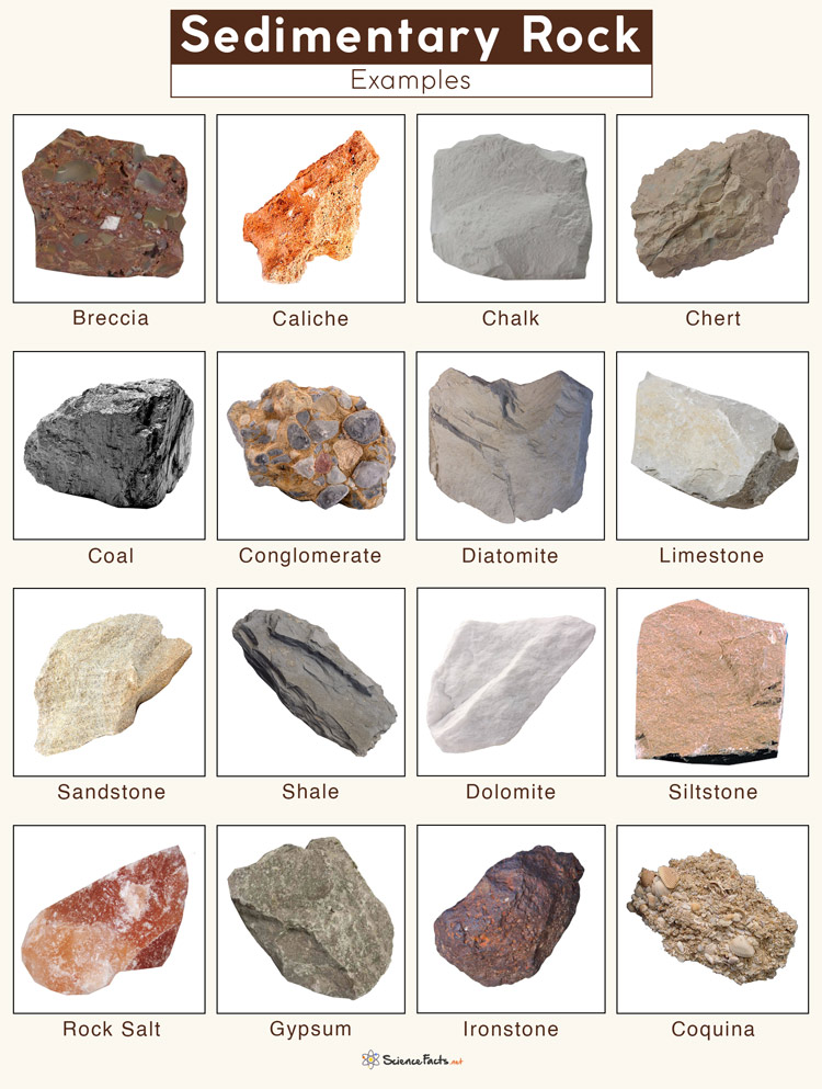 3 types of sedimentary rocks