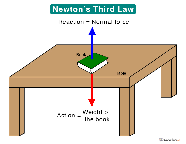 Action & Reaction) Examples of Newton's third law of Motion