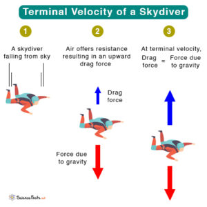 terminal velocity experiment