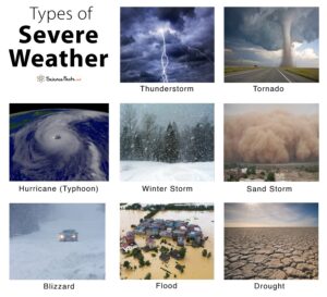 Types of Weather