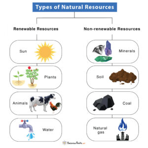 Natural Resources - Definition, Types, Examples, & Diagram