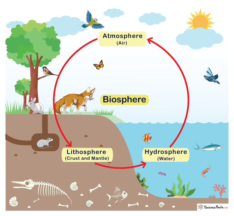 lithosphere hydrosphere atmosphere biosphere