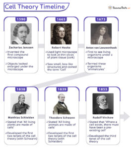 Cell Theory - Definition, Parts, Timeline, and Diagram