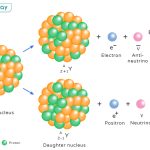 Beta Decay