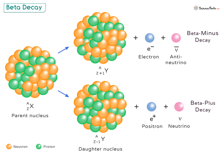 Beta Decay