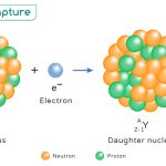 Electron Capture