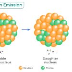 Neutron Emission