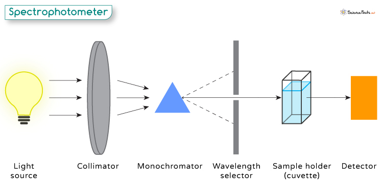 Spectrophotometer