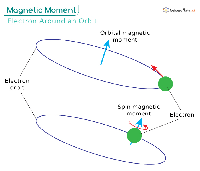 Magnetic Moment