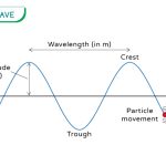 Transverse Wave